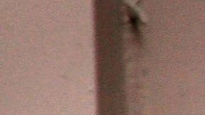 Nieman Marcus bancarrota Dallas Texas Houston J. Crew coronavirus COVID-19 deuda