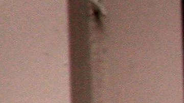 Nieman Marcus bancarrota Dallas Texas Houston J. Crew coronavirus COVID-19 deuda