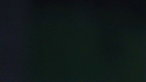 Travis Kalanick compró la casa de sus sueños en Bel Air a un gran precio.