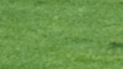 México venció a El Salvador 4-1 en 2009.