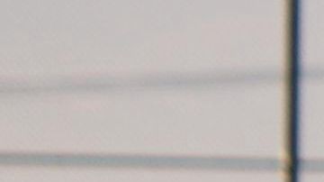 A pesar del paro indefinido en los parques de pelota, el béisbol no deja de generar emociones.