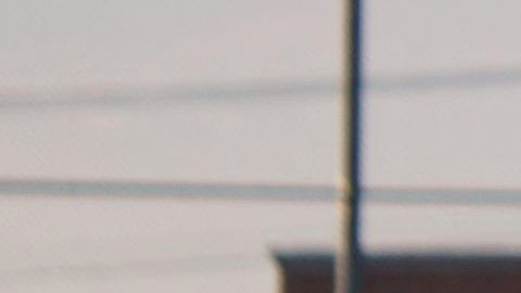 A pesar del paro indefinido en los parques de pelota, el béisbol no deja de generar emociones.