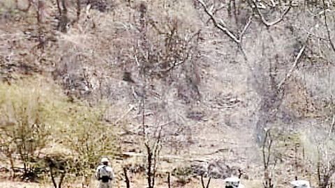 Golpe a los "jardines de marihuana" del Mencho y el CJNG