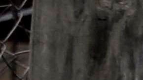 AME9094. TEGUCIGALPA (HONDURAS), 11/05/2020.- Residentes hondureños cargan gallinas para alimentarse entregadas por un precandidato presidencial hondureño para el partido LIBRE, en el barrio marginal La San Francisco este lunes en Tegucigalpa (Honduras). La pandemia de COVID-19 dejó este domingo 142 nuevos casos en Honduras, lo que elevó el total de contagios desde que la enfermedad llegó al país a 1.972, mientras las víctimas mortales por dicho virus se mantienen en 108 casos. EFE/Gustavo Amador