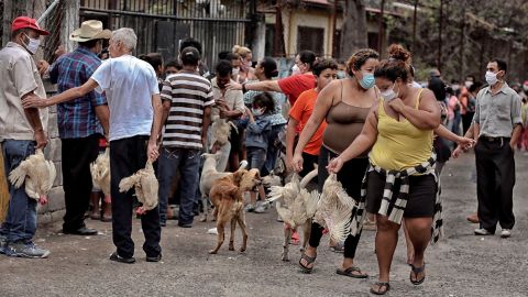 AME9094. TEGUCIGALPA (HONDURAS), 11/05/2020.- Residentes hondureños cargan gallinas para alimentarse entregadas por un precandidato presidencial hondureño para el partido LIBRE, en el barrio marginal La San Francisco este lunes en Tegucigalpa (Honduras). La pandemia de COVID-19 dejó este domingo 142 nuevos casos en Honduras, lo que elevó el total de contagios desde que la enfermedad llegó al país a 1.972, mientras las víctimas mortales por dicho virus se mantienen en 108 casos. EFE/Gustavo Amador