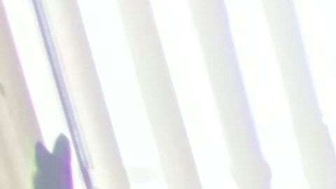 Muchas familias deciden cremar los restos de sus seres queridos y llevarlos a sus casas en espera de un funeral cuando acabe la pandemia. (Foto cortesía Imelda Beltrán)