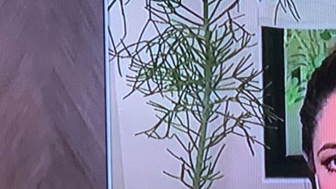 Pamela Silva presenta a su hijo Ford