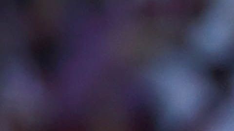 Salcido jugó tres mundiales con México.