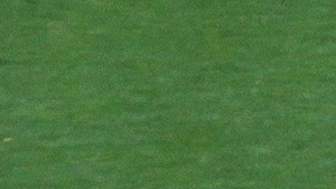 Chivas fue fundado un 8 de mayo de 1906.