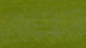 América le ganó una épica final al Cruz Azul.