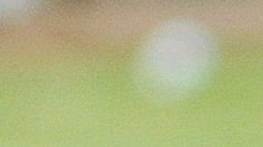 Melvin Brown fue mundialista en 2002.