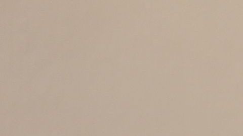 Jaime Bonilla, gobernador de Baja California.