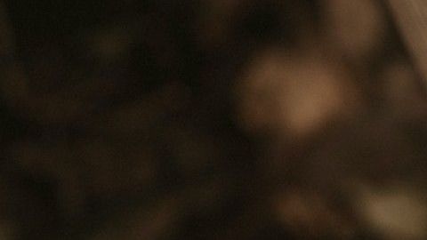 Comienza tu propio jardín con estos consejos básico de expertos.