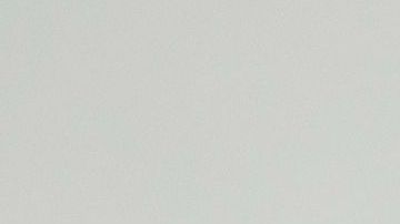 El avispón asesino.