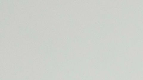 El avispón asesino.