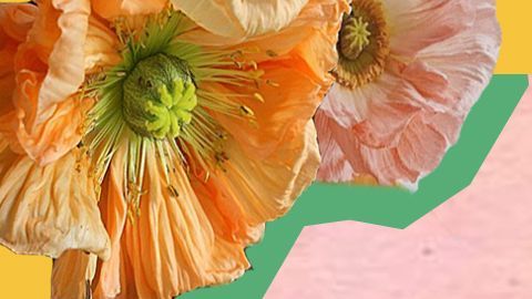 María Arredondo tiene cáncer de seno. (Cortesía California Coalition for Women Prisoners)