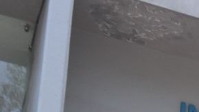 Mata virus a familia entera en Ciudad de México