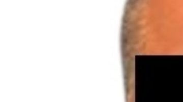 México entrega a EEUU a operador del Chapo Guzmán y dos violadores de menores