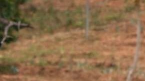 La cúpula militar ratificó su apoyo al presidente Nicolás Maduro.