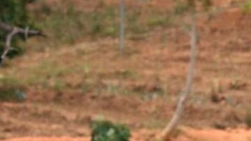 La cúpula militar ratificó su apoyo al presidente Nicolás Maduro.