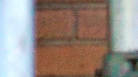 El estado de Nueva York, el gran epicentro de la pandemia de COVID-19 en Estados Unidos, registró hoy descensos en las hospitalizaciones y fallecimientos por esta enfermedad en las últimas 24 horas, por lo que sigue "bajando la curva" y perfilando su reapertura por fases y regiones que comenzará el 15 de mayo. EFE/EPA/Peter Foley