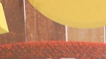 Ninel Conde se vio opacada por su perrita en un video.