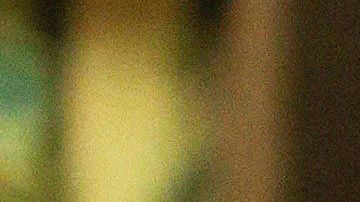 El nuevo disco de Natalia Lafourcade incluye 14 temas. Foto: Manuel Zúñiga