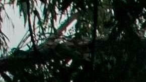 Una mujer junto a su hijo (d) utilizan tapabocas al salir de una escuela pública este viernes, en Managua.