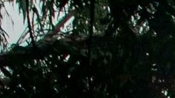 Una mujer junto a su hijo (d) utilizan tapabocas al salir de una escuela pública este viernes, en Managua.