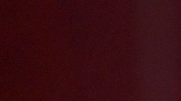 Pepe Aguilar gusta de subir fotos a sus redes sociales con Chapulín, su mascota.