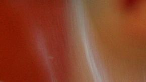 Pan-kalhh en Pixabay