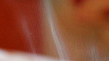 Pan-kalhh en Pixabay