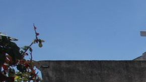 Las autoridades sólo permitirán el acceso limitados para realizar  sepelios y cremaciones.