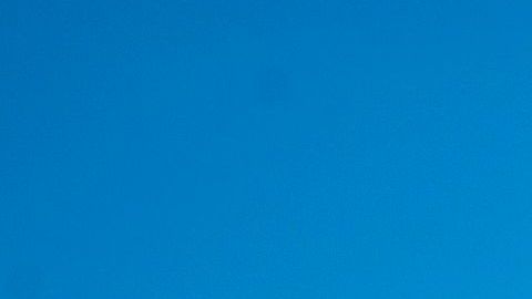 Los parques públicos de la capital francesa reabrieron este sábado.