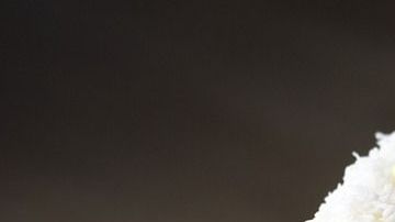 Foto: Tesa Robbins/Pixabay