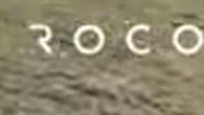 Perro robot cuida ovejas