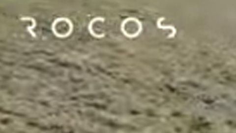 Perro robot cuida ovejas