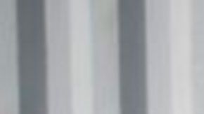 Perro robot patrulla calles