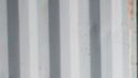 Perro robot patrulla calles