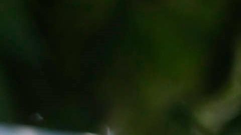 En la imagen, un grupo de personas aguarda junto a una terminal de buses en Lima. EFE/