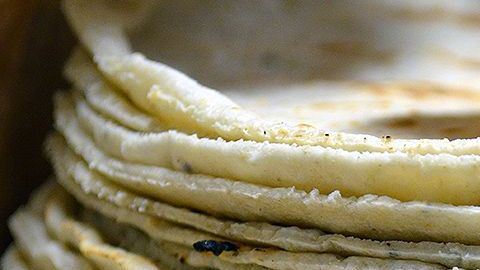 ProtoplasmaKid-Tortillas de maíz-Commons