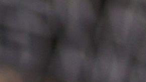 Reese Witherspoon tiene tres perros con los que pasa momentos muy divertidos durante el confinamiento.