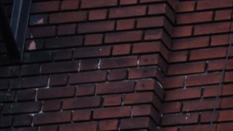NEW YORK, NY - MAY 1:  A banner reading "Cancel rent Cuomo" hangs on a building on May 1, 2020 in the Crown Heights neighborhood in the Brooklyn borough in New York City. Tenants rights groups trying to persuade the government to halt rent and mortgage payments for as long as the economy is battered by the coronavirus.(Photo by Stephanie Keith/Getty Images)
