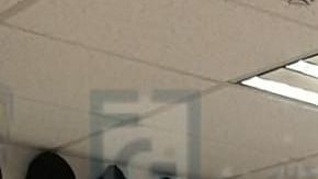 Los trabajadores de la salud se reencontraron con sus familiares.