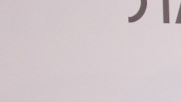 Rosanna Zanetti y David Bisbal.