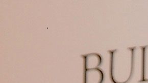 Sebastián Yatra tiene siete perros como mascotas.