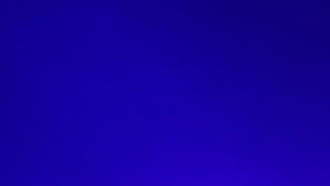 Slash es amante de las víboras desde pequeño.