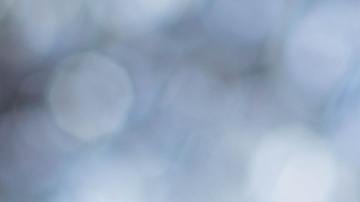 Normalmente, los mariscos pueden contaminarse con bacterias fluorescentes que pueden erradicarse con el calor. Sin embargo, el sushi se sirve crudo.