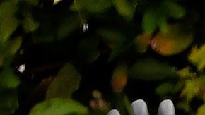 Tesla reabre fábrica