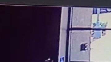 VIDEO: Buscan a hispano por golpear con tubo a abuelita para robarle una pizza